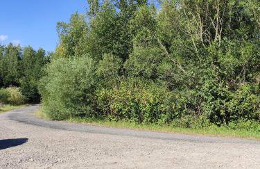 Domki pod skarpą Zator 27 - Foto 30