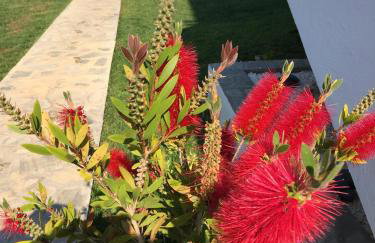 Simplicity at Iris Accommodation - Photo 43