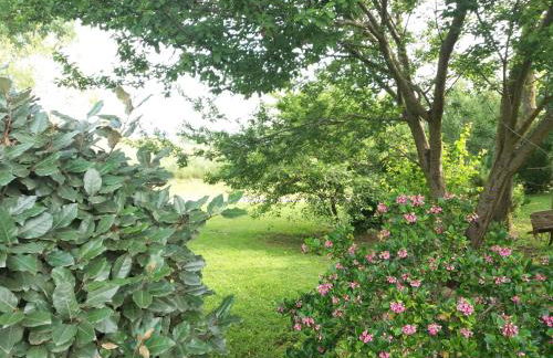 Agriturismo Colleverde Capalbio - Foto 73