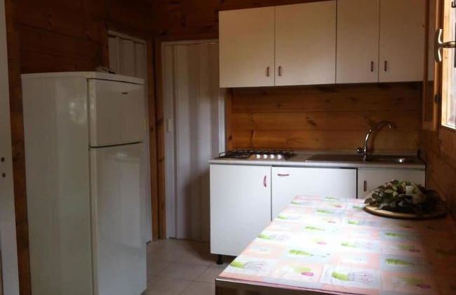 Viola Club Village - Photo 27