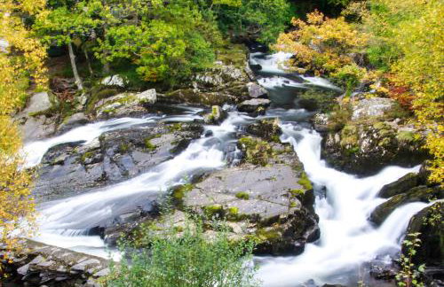 4 Ty Person - Photo 28