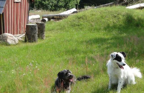 Bispinger-Heidezauber-Haus-Weissdorn - Foto 7