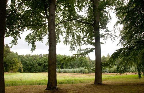 Lohwald-Appartment - Foto 19