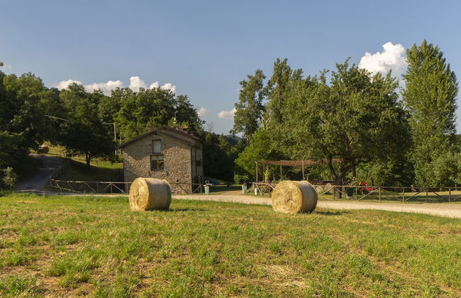 La Cartiera dei Benandanti - Foto 50