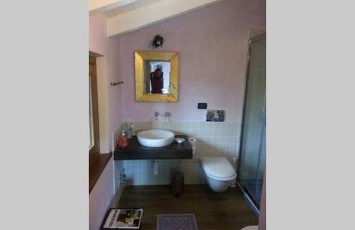 Casa intera tra le colline e le vigne del Dolcetto - Foto 19