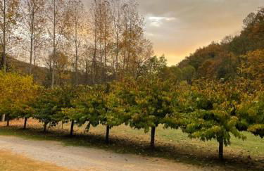 Can Torrotes - Foto 65