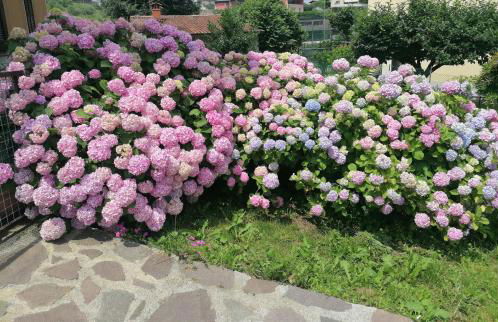 Casa Vacanze Mari, Paratico - Foto 35