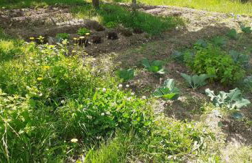 Quinta D' LuzArcoIris - Foto 48