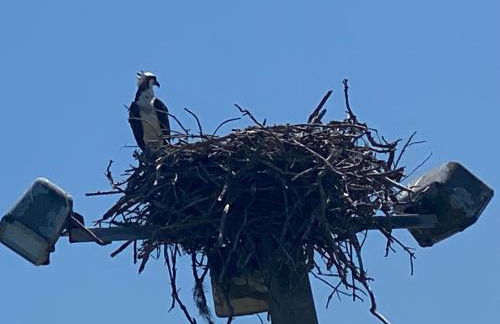 Perfect getaway with pool, hot tub and world class views - Foto 12