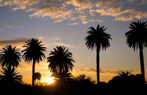 HYEDAV Studio climatisé pour 4 personnes à 50 m de la plage - Les Salins d'Hyères - Foto 7