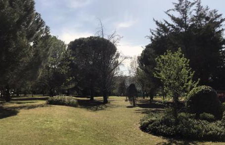 Studio Soleil et Verdure - Montpellier Celleneuve - Foto 16