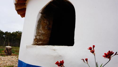 Monte do Pantaleão - Foto 2, pet friendly