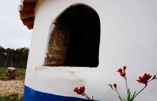 Monte do Pantaleão - Foto 2