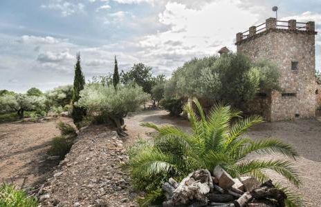 Finca Jabali - Foto 39