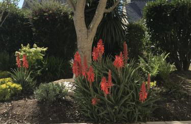 La Metairina - Foto 29