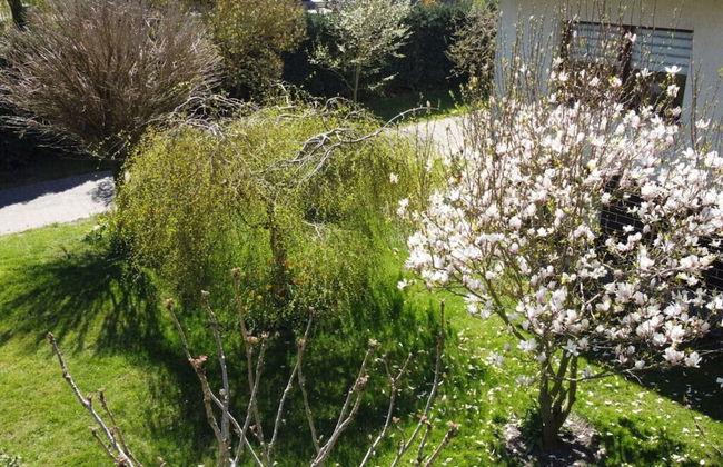 Holiday Apartment Hammann - Foto 40