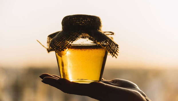 Visita a una bodega de miel - Foto 2, Miel ecológica de Montoro