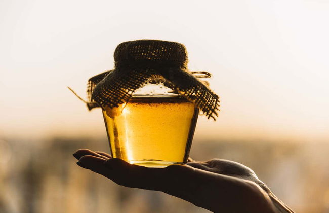 Visita a una bodega de miel - Foto 1