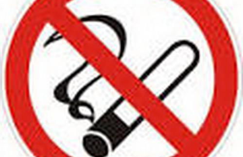 Zur Mühle Lemkenhafen auf Fehmarn - Foto 43