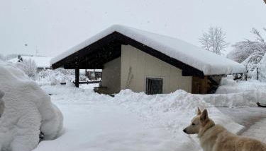 Sonnenhang Bayern - Photo 4