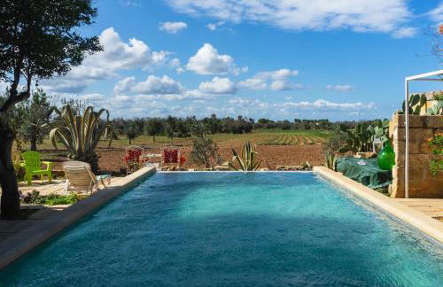 Masseria Tornesella Don Giuliano - Foto 57