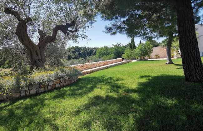Agriturismo Masseria Del Crocifisso - Photo 61