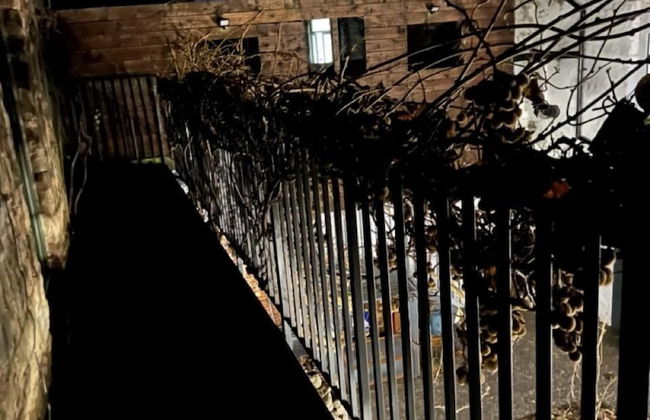 Stable Yard Rooms - Foto 10