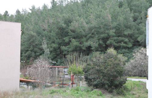 Apartments Konstantinidis - Foto 20