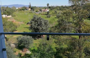 Mountain View - Foto 14