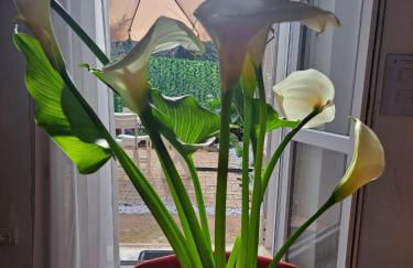 la casa di Luca - Foto 23