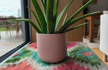 Villa Holidays Ocean - Photo 21