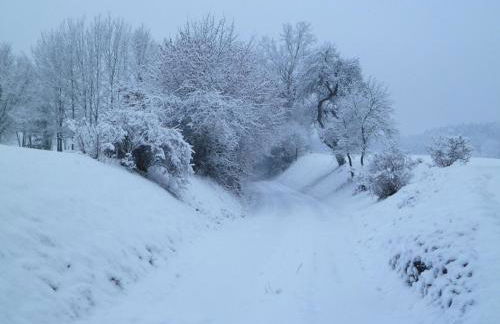 FeWo Ulbrich Langenstadt - Foto 37