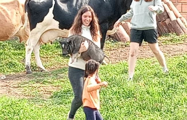 Rancho Ventura - Foto 36