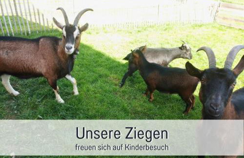 Bauernhof Finkel - Ferienwohnungen mit Balkon - Bergsicht - Traktor mitfahren - Tiere streicheln - entspannter Familienurlaub - zentrale Lage nahe Oberstdorf - Photo 64