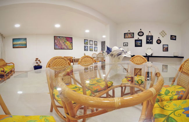 HominngBird - Foto 32