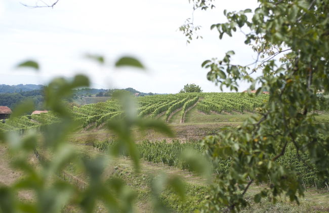 Country House Srček - Foto 26