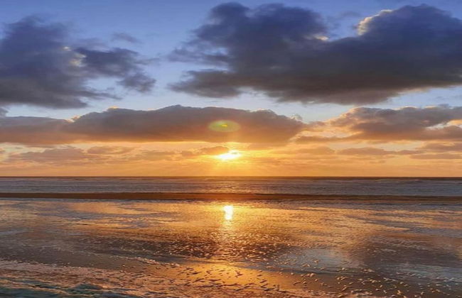 Apartment in Ostend Near North Sea - Foto 30