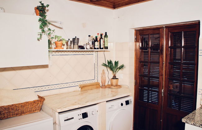 João Jungle - Foto 31