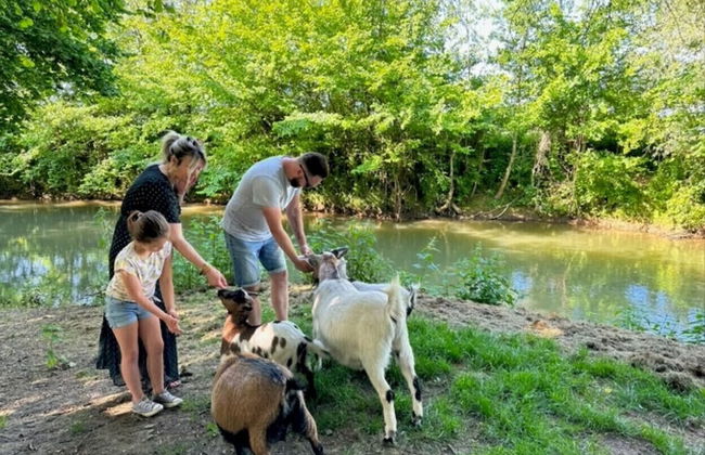 Au domaine du Pré Dieu - Foto 28