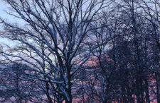 Jeziorosfera. Stodoła przy wodzie. - Foto 45