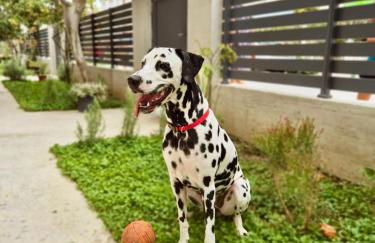 Minimalist Seaside Apartment with Private Patio and Parking - Blue Zone Homes - Foto 13