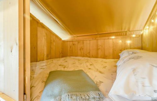 Fallow - Uk47397 - Foto 11