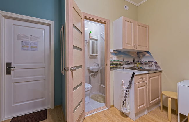 ColorSpb ApartHotel New Holland - Foto 27