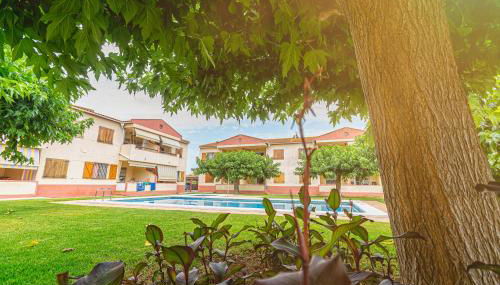 Apartamentos Aigua Oliva - Foto 3