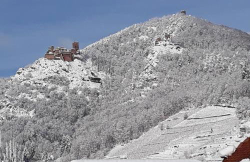 GITE KIENTZLER - Foto 7