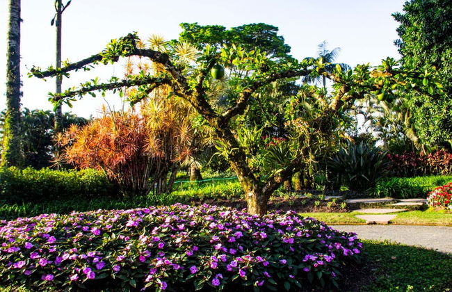 Tour pela Casa Krüger e passeio de trator na fazenda Ango Kersten - Foto 8
