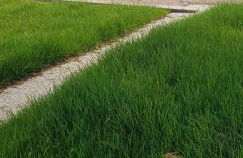 Logis proche Gerardmer avec spa - Foto 31