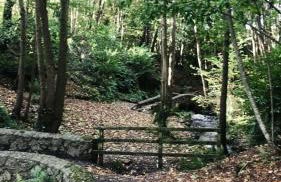 Bramley House-5 Star-located on the Dublin-Belfast corridor - Foto 51