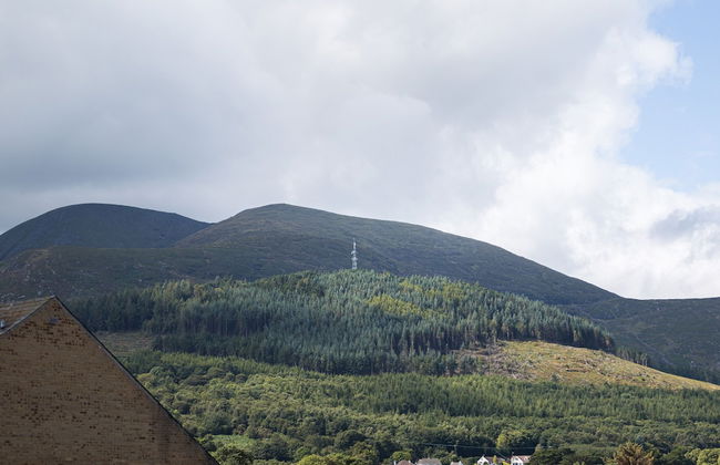 The Views - Photo 27