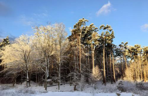 Lieblingsinsel - Photo 29